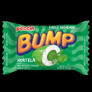 Bump Hortela 140G