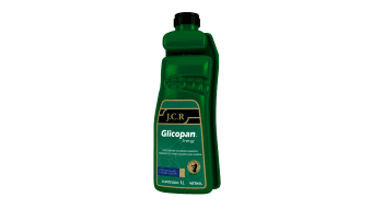 Glicopan Energy Jcr 1L - Vetnil