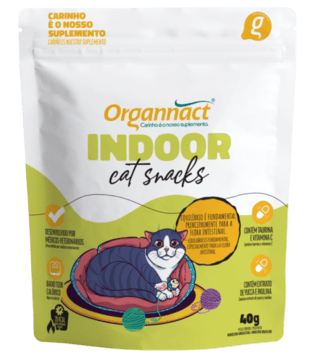 Indoor Cat Snacks 40G