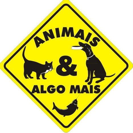 imagem da loja - 7