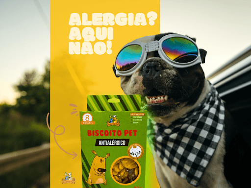 Alergia? Aqui não!

Os Biscoitos Antialérgicos são feitos para pets sensíveis, garantindo um snack saboroso e seguro! 🐾✨ 

✅Ingredientes hipoalergênicos
✅Sem corantes ou conservantes artificiais ✅Muito sabor e zero preocupação

📍Encontre nas lojas ou no site: loja.padariapet.com.br 🧡🐾