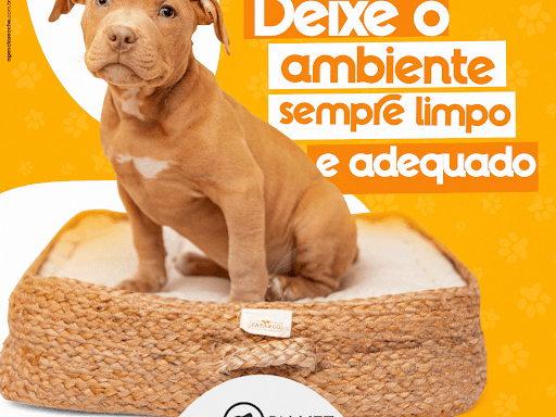 Pets têm um cheiro natural um pouco diferente do que estamos acostumados. Além disso, algumas espécies podem soltar pelos, fazendo com que a necessidade de limpeza seja um pouco mais frequente do habitual. Desse modo, quem tem animais de estimação em casa precisa manter uma rotina de higienização mais frequente e cuidadosa. 🐕🐈‍⬛
🎯Para manter o ambiente limpo, vale investir em um aspirador de pó. Ele ajuda na aspiração dos pelos de modo rápido e prático, além de tornar a tarefa menos cansativa. Ter um aparelho desse tipo é ainda mais necessário para pets que soltam muito pelo.
🎯Outro ponto importante é fazer uma limpeza adequada com bons produtos. Contudo, é preciso ter atenção à substância que será utilizada, pois algumas são tóxicas para os animais. Assim, escolha algum produto pet friendly, que pode ser facilmente encontrado em pet shops.

Agende uma consulta para avaliar a saúde e as vacinas do seu pet.
📲(35) 98864-0702