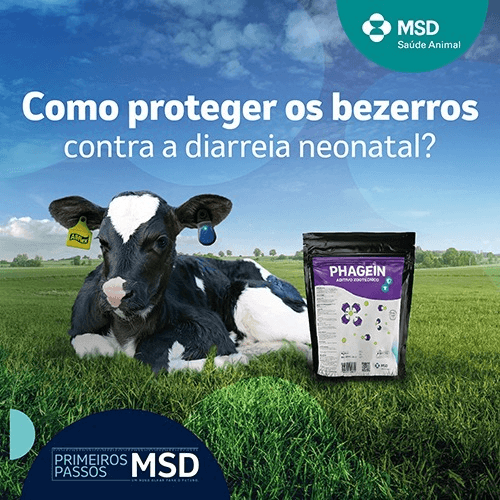 product-4