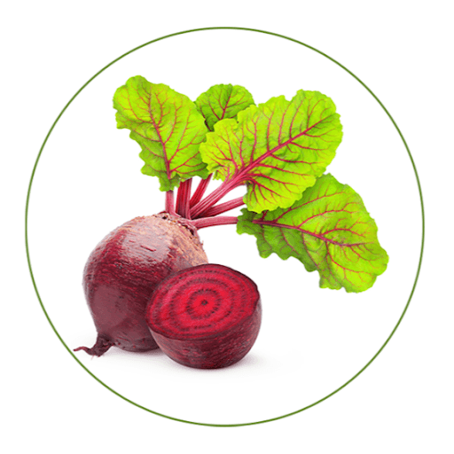 Beetroot Extract LEMMA (Beta vulgaris) - Beetroot é o extrato da beterraba, uma boa fonte de nitrato, principal bioativo com ação na melhora do fluxo sanguíneo por todo corpo. Contém betalaínas, pigmentos naturais, com elevada capacidade antioxidante, o que auxilia na prevenção do estresse oxidativo. Além disso, é uma boa fonte de niacina, ácido fólico, vitamina C, cobre, magnésio, manganês e ferro. Auxilia no desempenho esportivo, melhorando a potência e reduzindo o tempo de exaustão e possui benefícios para a saúde cardiovascular.