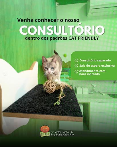 🐱💙 Eles são independentes, sensíveis e cheios de personalidade.

E, por aqui, a gente entende (e respeita) cada miado, cada olhar desconfiado e cada comportamento felino.

Pensando no bem-estar do seu gatinho, criamos um ambiente feito exclusivamente para ele:

✨ Sala de espera separada
🌿 Enriquecimento ambiental
😌 Técnicas Cat Friendly

Tudo isso para que a consulta seja tranquila, acolhedora e livre de estresse, para ele e para você.

Porque aqui, cuidado vai além da medicina.

É sobre entender o que faz seu pet se sentir seguro. 💛

📱(22) 98844-6441

ou ☎Telefone Fixo (22) 2648-9873

✅Av. Victor Rocha, 06, Parque Burle - Cabo Frio

Vet Dort - Veterinário em Cabo Frio - RJ