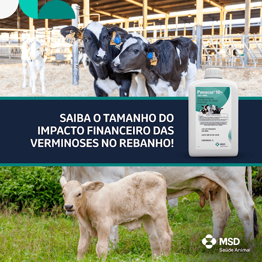 Siba o tamanho do impacto financeiro das verminoses no rebanho - No Brasil, estudos indicam que os vermes gastrointestinais representam uma perda anual de aproximadamente US$ 7,11 bilhões. As verminoses são consideradas como um dos maiores prejuízos silenciosos na pecuária, afetando diretamente a saúde e o desempenho dos animais, resultando em menor ganho de peso, atraso no desenvolvimento e queda na produção de leite, comprometendo assim a rentabilidade da fazenda. O controle inadequado pode ainda favorecer a resistência parasitária, tornando os problemas mais persistentes e caros ao longo do tempo. Por isso, é importante que o controle e tratamento sejam feitos com um produto eficaz e de confiança como 
PANACUR® 10% da MSD Saúde Animal. PANACUR® 10% é um anti-helmíntico de largo espectro em suspensão, para uso oral, indicado para o combate eficaz dos principais nematódeos gastrintestinais dos bovinos. Proteja seu rebanho e a rentabilidade da sua produção com PANACUR® 10%.

MSD Saúde Animal.