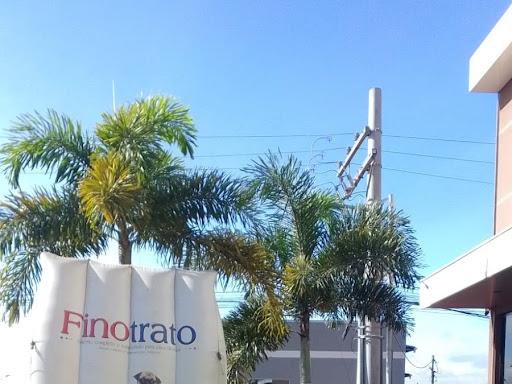 BANHO E TOSA  COM TAXI DOG E TUDOMAIS QUE PRECISAR PARA SEU PET