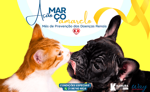 💛MARÇO AMARELO💛 Mês Mundial da Prevenção Das Doenças Renais

Você sabia que doenças renais são mais frequentes do que imaginamos? 
Estão entre as principais doenças graves atendidas aqui na Veterinária Kamura e, por serem silenciosas, podem ser diagnosticadas já em estágio avançado, de difícil tratamento. 

👉Vamos criar o hábito da prevenção?
Queremos o seu pet sempre saudável e feliz ao seu lado!

💛Neste mês teremos a Ação Março Amarelo: avaliação clínica + exame laboratorial com condição especial no período de 21 até 31 de Março.💛 

Fale conosco que vamos explicar como funciona essa Ação.                                                                                                  https://linkfy.pro/veterinariakamura

🏥 Estrada da Cancela Preta, 2025, Bangu- RJ.
☎️ 213309 3200 / 213338 8412 
📲 2196740 4824

👉🏼Acompanhe nossas redes sociais:
www.veterinariakamura.com.br 
https://www.instagram.com/veterinariakamura/