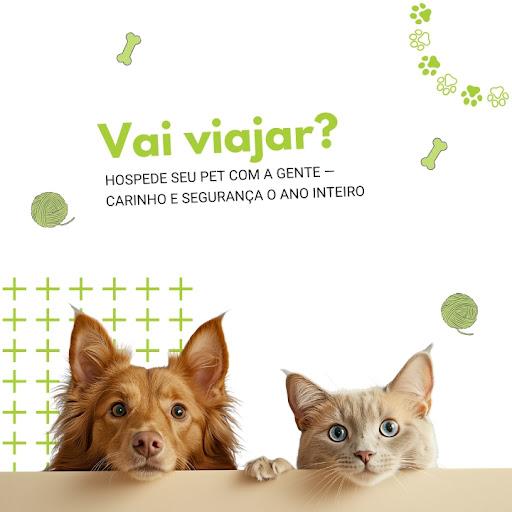 Neste final de ano você irá viajar?

Conte conosco para cuidar do seu pet.

Ligue ou mande mensagem no whatsapp.

Um lugar de muito carinho e segurança.