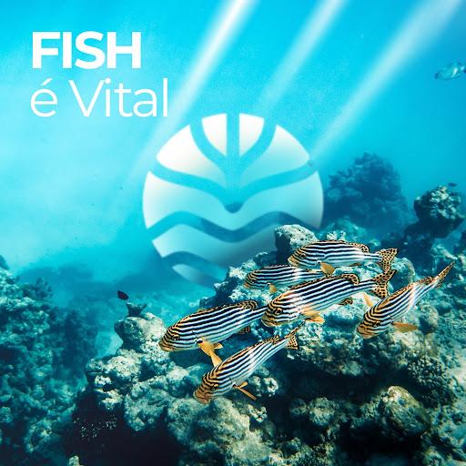Fish é Vital! 🐟
O ômega mais concentrado do mercado.

Óleo de peixe de águas profundas e frias (EPA e DHA). Um alimento essencial para nutrição do seu dia.