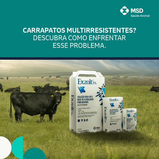 Carrapatos Multiresistentes? Descubra como enfrentar esse problema - Os carrapatos multirresistentes representam um dos maiores desafios para a pecuária, pois sobrevivem mesmo após o uso de diferentes produtos. Essa resistência compromete a eficácia dos tratamentos, aumenta os custos de produção e impacta diretamente a saúde e o bem-estar dos animais. Além de causar estresse e perda de peso no rebanho, esses parasitas transmitem doenças graves que podem reduzir significativamente a produtividade do rebanho. Por isso é essencial um manejo integrado com um ectoparasiticida eficaz. Para enfrentar esse problema, o produtor pode contar com Exzolt 5%. Exzolt 5% é a maior revolução feita em 40 anos contra carrapatos multirresistentes e conta com uma eficácia nunca vista. Ele conta com uma proteção 4x1 porque além de carrapatos, também combate mosca-dos-chifres, bernes e bicheiras. Com resultado eficaz em até 72h, Exzolt 5% trata até 500 animais com um galão de 5L*. Fale com seu médico veterinário e saiba mais sobre Exzolt.

*valor calculado para animais com 200kg de peso vivo.

MSD Saúde Animal.