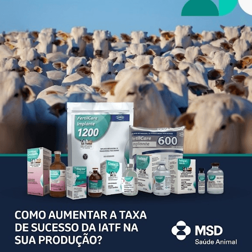 Como Aumentar A Taxa De Sucesso Da Iatf Na Sua Produção? - Com a inseminação artificial em tempo fixo (IATF), a busca por maior produtividade e eficiência tornou-se essencial para elevar as taxas de prenhez. O sucesso da técnica depende de uma boa nutrição, manejo sanitário eficiente, bem-estar dos animais e acompanhamento técnico constante. A capacitação da equipe, o cuidado com o sêmen e a escolha de touros e matrizes de qualidade também fazem toda a diferença. Além disso, investir em tecnologia e adotar o protocolo reprodutivo adequado são passos fundamentais para garantir resultados consistentes. Para isso, o pecuarista pode contar com as soluções reprodutivas da MSD Saúde Animal — uma linha completa que inclui desde dispositivos intravaginais como FertilCare®, a soluções que ajudam a tratar infertilidade como Fertagyl®. Soluções desenvolvidas para maximizar o sucesso da IATF e o desempenho reprodutivo do rebanho.

Consulte seu médico-veterinário e saiba mais sobre a linha reprodutiva da MSD Saúde Animal.

MSD Saúde Animal.