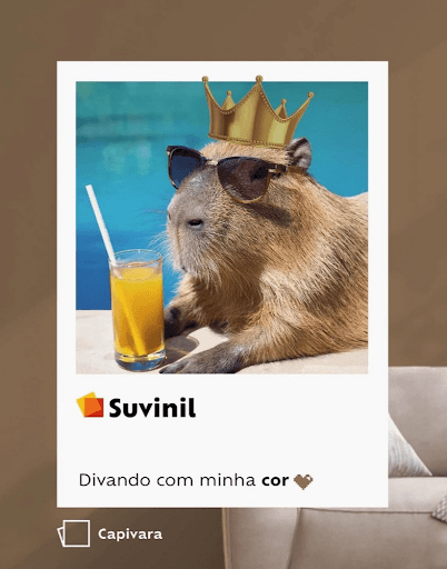 Divando com minha cor - Divando com minha cor
