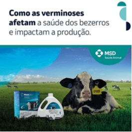Como As Verminoses Afetam A Saúde Dos Bezerros E Impactam A Produção - As verminoses representam uma grande ameaça à saúde dos bezerros, causando perda de peso, atraso no desenvolvimento e maior suscetibilidade a outras doenças. Além disso, a eimeriose pode provocar diarreias severas, impactando diretamente a produtividade e o bem-estar animal. Para proteger o futuro da produção, é necessário ter cuidado constante com os bezerros no presente. Para combater esses desafios, a MSD Saúde Animal apresenta Panacoxx®, a solução completa com dupla ação, sendo o único que combate eimeriose e verminose em uma só dose. Com menor dosagem por animal, garante alta eficácia e rendimento, promovendo proteção prolongada e bem-estar para o rebanho. Escolha Panacoxx® e garanta o desenvolvimento saudável dos seus bezerros! 

Consulte seu Médico Veterinário e saiba mais sobre o produto!

MSD Saúde Animal.