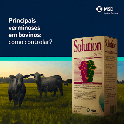 product-6