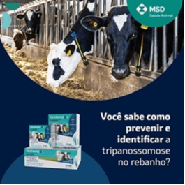 Você Sabe Como Prevenir E Identificar A Tripanossomose No Rebanho? - A tripanossomose pode causar grandes perdas no rebanho, como queda de desempenho, abortos e até a morte dos animais. Por isso, prevenir e identificar a doença precocemente é essencial. Para isso, adote práticas de manejo com higiene, controle de vetores (moscas), com uso de inseticidas e armadilhas, por exemplo, e evite o compartilhamento de seringas. Fique atento a sinais como febre persistente, anemia, perda de peso e queda na produção. Para ajudar na prevenção e no tratamento dos casos positivos, o pecuarista pode contar com TRYPAMIZOL®, da MSD Saúde Animal. TRYPAMIZOL® oferece poder de escolha para prevenir e tratar a tripanossomose na medida certa, com mais produtividade. Com a garantia da MSD Saúde Animal, o produto pode ser utilizado por até 21 dias após aberto e está disponível em três apresentações diferentes. Proteja seu rebanho contra a tripanossomose com TRYPAMIZOL®.


MSD Saúde Animal.