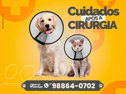 Assim como a cirurgia começa bem antes da mesa de operação, ela também continua com alguns passos após o procedimento. Quando um tutor leva seu amigo para uma intervenção, ele precisa estar atento para seguir as recomendações do pós-operatório.
Algumas práticas que podem ajudar são:
📌Deixar o pet em um ambiente tranquilo;
📌Evitar interações no primeiro momento;
📌Não forçar a alimentação;
📌Proteger o curativo, utilizando colar elizabetano, se necessário;
📌Oferecer ração de qualidade;
📌Oferecer água fresca e limpa;
📌Higienizar a área do curativo sempre que necessário,
📌Aplicar as medicações recomendadas.
⚠️⚠️⚠️As dicas acima são um pouco genéricas, mas costumam se enquadrar bem na maioria das cirurgias em animais. Entretanto, é muito importante ouvir as recomendações do veterinário, pois ele vai indicar o passo a passo para a recuperação do seu amigo.
Agende uma consulta para avaliar a saúde e as vacinas do seu pet.
📲(35) 98864-0702