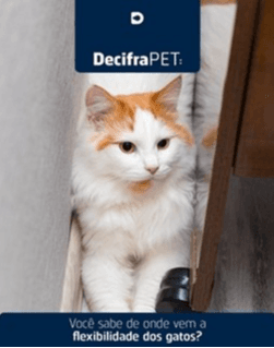 DecifraPet - Os gatos têm cerca de 244 ossos, variando conforme a idade e o tamanho da cauda. 🐈🐈‍⬛
Sabia que o rabo é uma extensão da coluna? 🦴 Gatos com cauda longa têm mais ossos do que os de cauda curta. Essa variação faz cada gatinho único! 🐾
Você conhecia essa peculiaridade dos felinos?😸