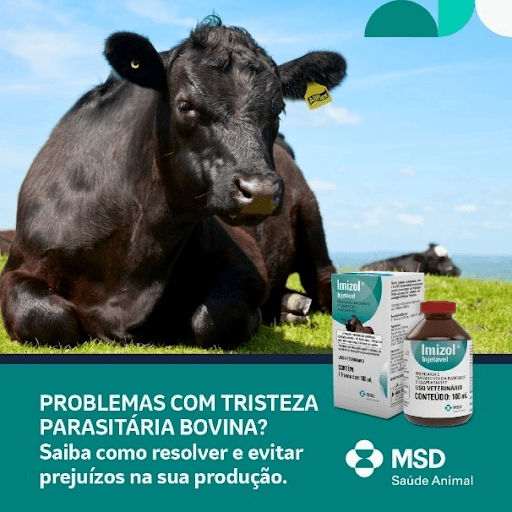 Problemas com tristeza parasitária bovina? Saiba como resolver e evitar prejuízos na sua produção - A Tristeza Parasitária Bovina (TPB) é uma das principais causas de perdas econômicas na pecuária, afetando diretamente a produtividade e o bem-estar do rebanho, podendo causar anemia, febre, redução no ganho de peso e até a morte dos animais. O controle eficaz exige atenção constante, manejo integrado e ações preventivas que envolvem desde o combate ao carrapato até o monitoramento clínico dos animais. O sucesso no tratamento depende da rápida identificação dos animais doentes, diagnóstico preciso do agente causador e a escolha adequada da solução a ser utilizada. Quando não há diagnóstico diferencial dos agentes, é essencial optar por uma terapia que tenha ação contra Babesia sp. e Anaplasma sp., garantindo uma resposta eficaz e segura. Imizol®, da MSD Saúde Animal, é o medicamento de ação rápida e eficácia comprovada contra todos os agentes causadores da TPB. Consulte sempre um médico-veterinário e saiba mais sobre como o Imizol® pode ajudar a garantir a saúde e a produtividade do seu rebanho.


MSD Saúde Animal.