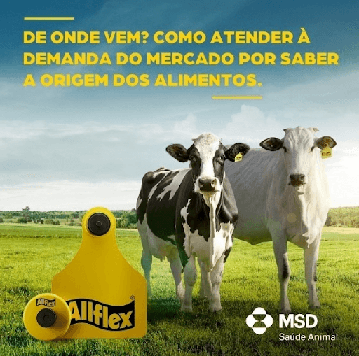 De Onde Vem? Como Atender À Demanda Do Mercado Por Saber A Origem Dos Alimentos. - Cada vez mais, os consumidores querem saber de onde vem o alimento que consomem. Essa exigência de transparência impulsiona toda a cadeia produtiva a adotar práticas que garantam a rastreabilidade e a confiabilidade das informações. Na pecuária, isso significa ter controle sobre a origem, o manejo e o histórico sanitário de cada animal, desde o nascimento até o abate. A identificação individual é o primeiro passo para alcançar esse nível de controle e garantir uma produção mais segura e eficiente. Além de atender às exigências do mercado e de programas de certificação, a rastreabilidade contribui para aprimorar a gestão da propriedade, otimizar processos e aumentar a rentabilidade. Com as soluções de identificação Allflex®, o pecuarista garante a rastreabilidade e adquire uma gestão inteligente do rebanho, transformando dados em decisões que impulsionam produtividade e transparência em toda a cadeia. Entre em contato com a Central Allflex® pelo número 11 4004-4874 e faça um orçamento agora mesmo!

MSD Saúde Animal.