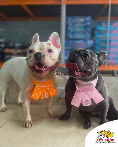 Aqui, o banho vai além da limpeza: é um momento de cuidado, bem-estar e amor.
Seu pet merece esse carinho todo! 💙

🚙Temos Taxi Dog e Disk Entrega para a toda a região do ABC! Consulte a nossa equipe e veja como funciona!

📱WhatsApp: 94702-4713 (link na bio)

📍Endereço: Estrada do Pedroso, 943 - Santo André - SP

#PetShopSantoAndré #SantoAndré #SãoBernardo #Rações #Veterinária #BanhoETosa #CuidadosPet #ProteçãoPet #VilaLuzita
