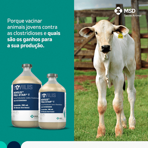 product-5