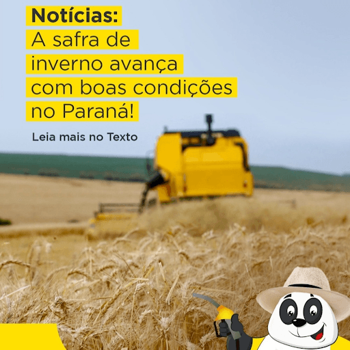Cevadas - 🌾 A semeadura da cevada segue firme no Paraná e já atingiu 9% dos 94.570 hectares previstos, segundo a estimativa da Seab!

👉 O boletim do Deral aponta que 96% das lavouras estão em boas condições e a colheita esperada é de 413,8 mil toneladas. A Regional de Ponta Grossa tem a maior área plantada, mas a liderança na produção segue com Guarapuava! 💪🌱

 

🌾 O plantio do trigo também avança: já são 26% dos 886.742 hectares semeados!

🌱 As lavouras germinadas apresentam boas condições — com 65% em germinação e 35% em desenvolvimento vegetativo.

🌾 A expectativa inicial é de colher 2.853,7 mil toneladas nesta safra!

 

📲 Siga a Rede Panda e fique por dentro das notícias que fazem a diferença no campo e na sua vida! 🚜🌾✨