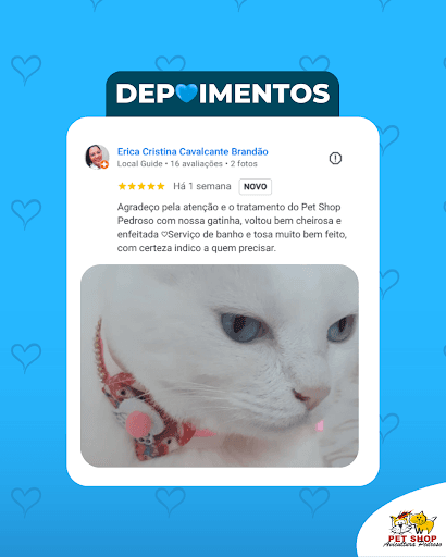 A gente não aguenta tanta fofura! 💙🐱

Agradecemos demais o carinho da tutora Erica, que confiou em nossa equipe para cuidar da gatinha com todo amor!

🚙Temos Taxi Dog e Disk Entrega para a toda a região do ABC! Consulte a nossa equipe e veja como funciona!

📱WhatsApp: 94702-4713 (link na bio)

📍Endereço: Estrada do Pedroso, 943 - Santo André - SP

#PetShopSantoAndré #SantoAndré #SãoBernardo #Rações #Veterinária #BanhoETosa #CuidadosPet #ProteçãoPet #VilaLuzita
