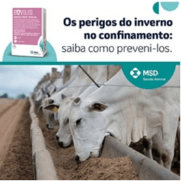 OS PERIGOS DO INVERNO NO CONFINAMENTO: SAIBA COMO PREVENI-LOS. - O inverno é uma época desafiadora para o confinamento, já que as baixas temperaturas e a maior concentração de animais favorecem o surgimento de doenças respiratórias no rebanho. Por isso, é necessário que algumas medidas sejam tomadas, a fim de evitar o surgimento dessas doenças e proteger o rebanho. Alguns cuidados como ventilação adequada, higiene e limpeza, lotação controlada de animais, alimentação e nutrição adequadas, e vacinação, são boas práticas que contribuem para a saúde do rebanho confinado. Para a vacinação, o produtor pode contar com Bovilis® Vista® Once da MSD Saúde Animal! Uma vacina completa contra doenças respiratórias, com longa duração, dose única e agilidade de efeito. Sua aplicação protege os animais rapidamente, garantindo saúde e bem-estar durante todo o período crítico do inverno.
Proteja seu confinamento com Bovilis® Vista® Once e mantenha a produtividade em alta! 

MSD Saúde Animal.