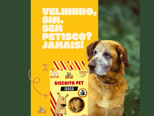 Velhinho sim, sem petisco jamais! ✨

Os anos passam, mas o amor e o cuidado continuam! ❤Os Biscoitos Sênior foram feitos especialmente para os doguinhos mais experientes, com ingredientes que cuidam da saúde e do bem-estar deles. 🐾

✅Textura fácil de mastigar ✅Ingredientes que ajudam na vitalidade ✅Sabor irresistível

📍Encontre nas lojas ou no site: loja.padariapet.com.br 🧡🐾